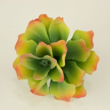 3.75"AGAVE STEM GREEN/BURGUNDY