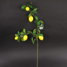 44"LEMON BRANCH YELLOW