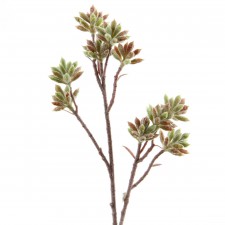 11" SUCCU.SEDUM SPRAY MA/GRN