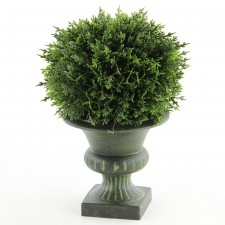 9"CEDAR BALL TOPIARY POTTED