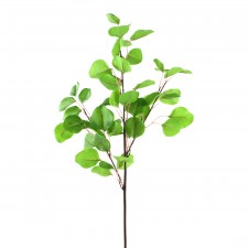 36"EUCALYPTUS BRANCH GREEN
