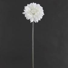 21"JEW.GERBER DAISY SPRAY CRM