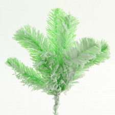 12"SNOWY FANTASY PINE SPRY A4
