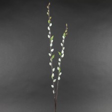 36"PUSSY WILLOW SPRAY GRAY