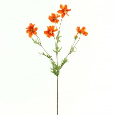30" COSMOS SPRAY ORANGE