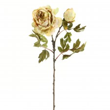 29"VERONA PEONY SPRAY W/BUD