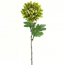 24" MUM SPRAY TT.GREEN