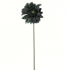 21"DECOR GER.DAISY SPRAY