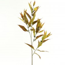 36"EUCALYPTUS SPRAY GRN/BRWN
