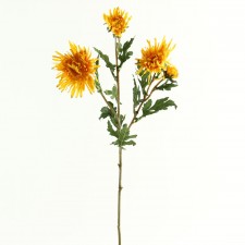 29" SPIDER MUM SPRAY X3
