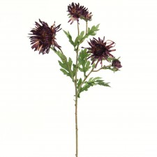 29"SPIDER MUM SPRAY A4 B12