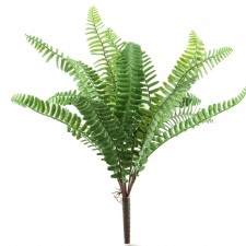 17"BOSTON FERN BUSH