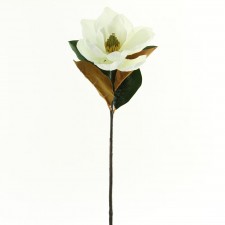 24" MAGNOLIA SPRAY CREAM