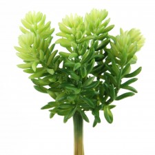 7"SOFT SEDUM PICK GREEN