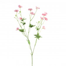 27"BUTTERCUP SPRY PINK A4