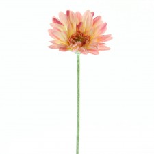 22.5"ROYAL GERBERA DAISY B2