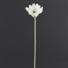 22.5"ROYAL GERBERA DAISY B6
