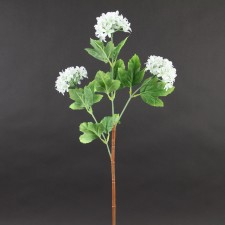 24.5"SNOWBALL SPRAY WHITE
