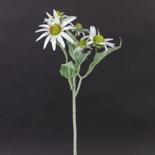 20.5"RUDBECKIA SPRAY WHITE