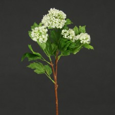 23" SNOWBALL SPRAY CREAM