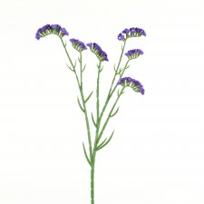 24" STATICE SPRAY PURPLE
