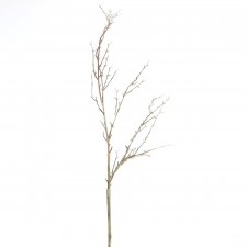 57"TWIG SPRAY BROWN