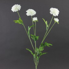28"POM POM MUM SPRAY CREAM