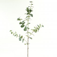 40" EUCALYPTUS SPRAY GREEN