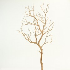 38" MANZANITA TREE BRANCH