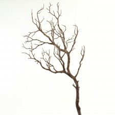 38" MANZANITA TREE BRANCH