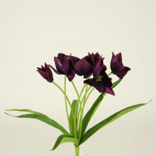 17" IMPERIAL TULIP BUSH X7