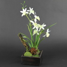 11" ORCHID/SUCCULENT ARR.POTTE
