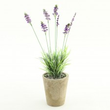 17" LAVENDER PLANT POTTED