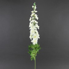 32"DELPHINIUM SPRAY A25
