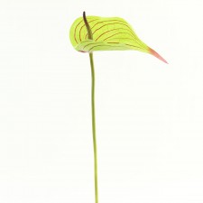 25" ANTHURIUM SPRAY GRN/BURG