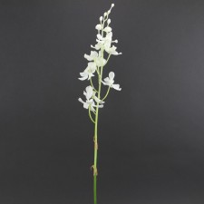 30"VANDA ORCHID SPRAY CREAM