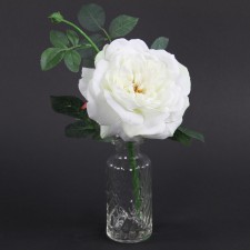 13"ENG.GARDEN ROSE IN VASE