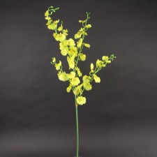 36"ONCIDIUM ORCHID SPRAY