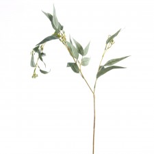 EUCALYPTUS SPRAY X2 GREEN