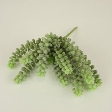 10"SEDUM HANGING PICK GR/FK