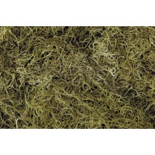 1LB SPANISH MOSS LT. GREEN