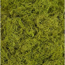 1 LB SPANISH MOSS CHARTREUSE