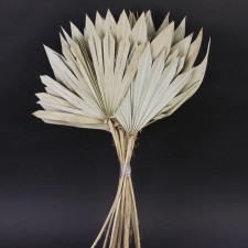 20"NAT.PALM SUN STEM X12