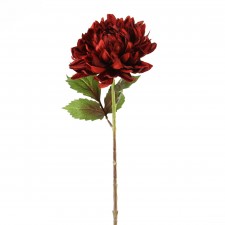26"HARVEST VELVET MUM A4