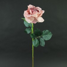 32"LG.TEA ROSEBUD X1 A25