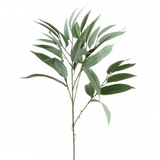 31"NDLELEAF EUCALYPTUS BRANCH