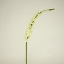 FOXTAIL SPRAY CREAM