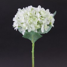 13"FRESH CUT HYDRANGEA