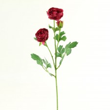 22"CLOSED RANUNCULUS SPRAY X3