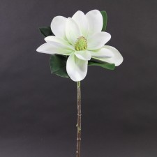 24"MAGNOLIA X1 WHITE